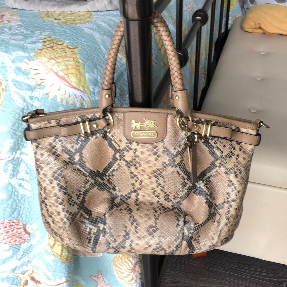 Coach purse- snakeskin print